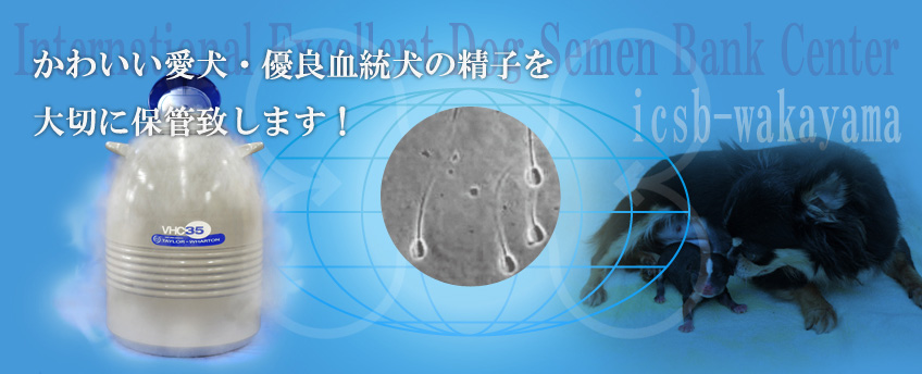 ���킢�������E�D�ǌ������̐��q�̑�؂ɕۊǒv���܂��I�Ⓚ���q�E�������q
